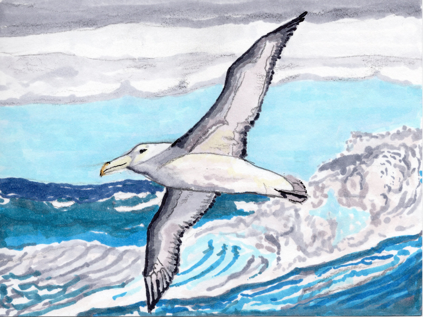 Albatross Archival Print