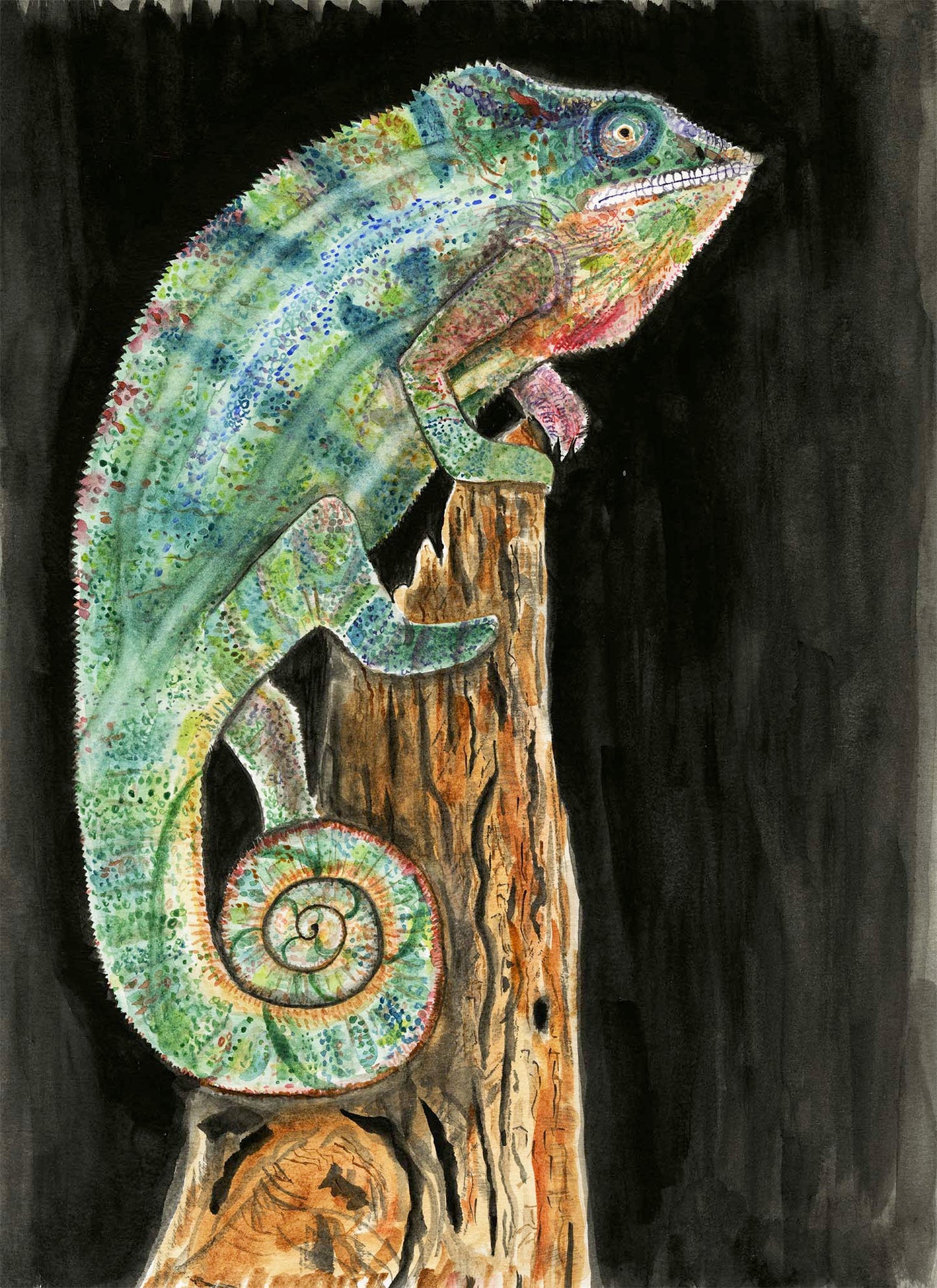 Claude the Chamelion