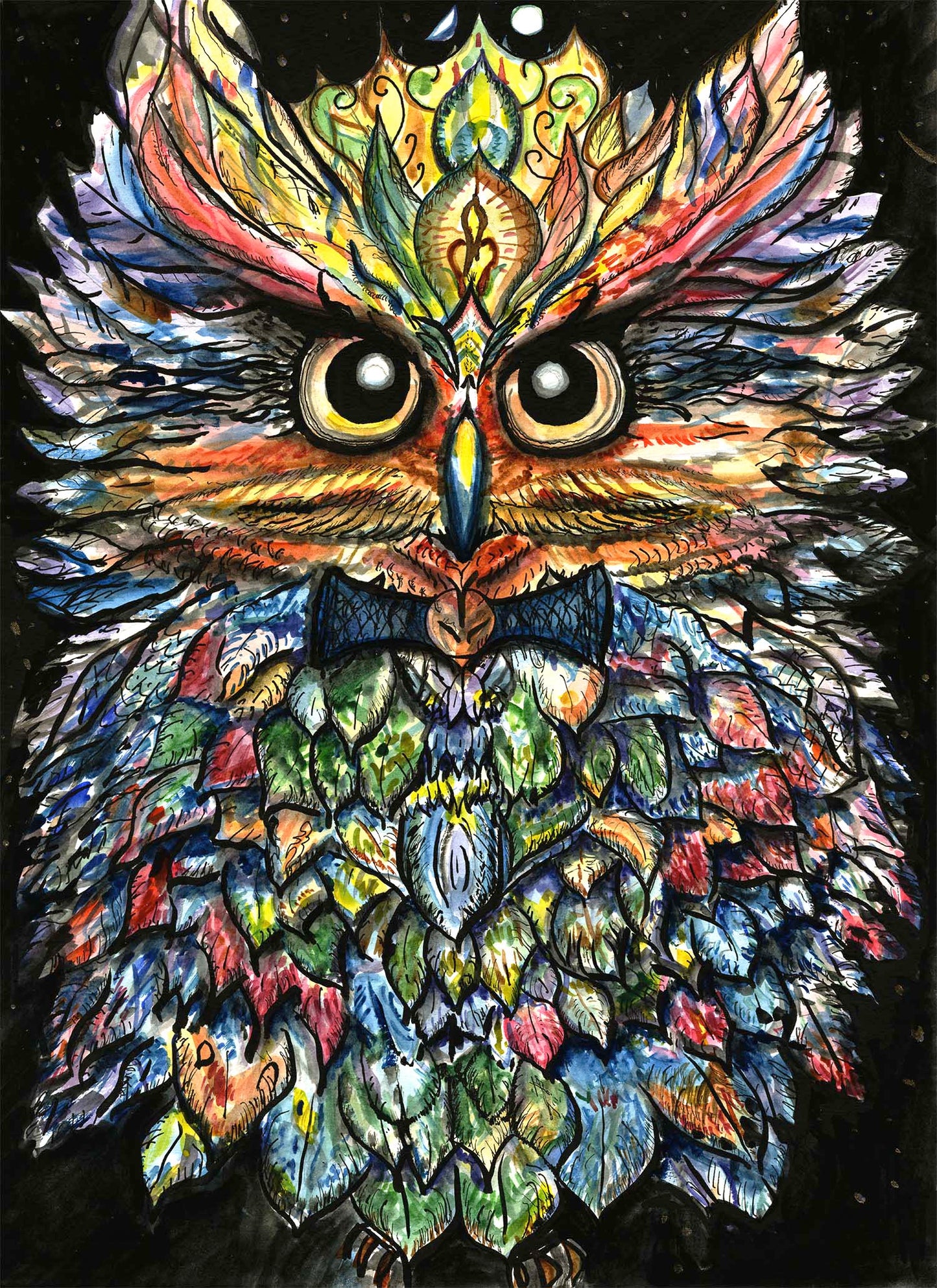 "The timely arrival of Mssr. Arubi Owl"
