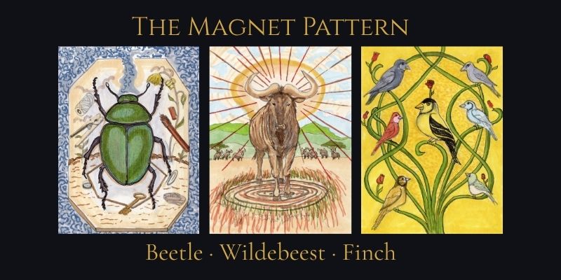 The Magnet Mystery