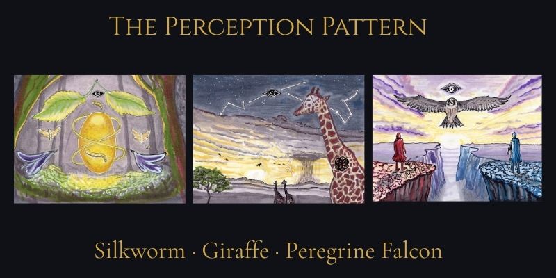 The Perception Mystery
