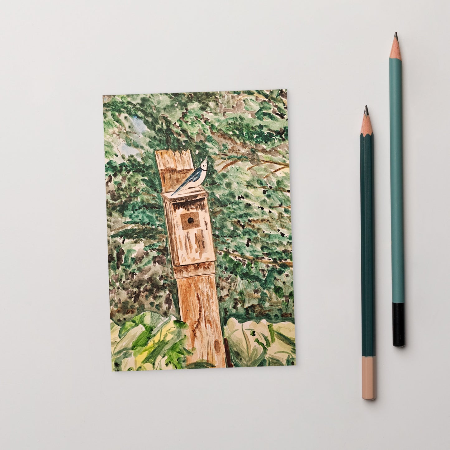 Custom Postcard Print