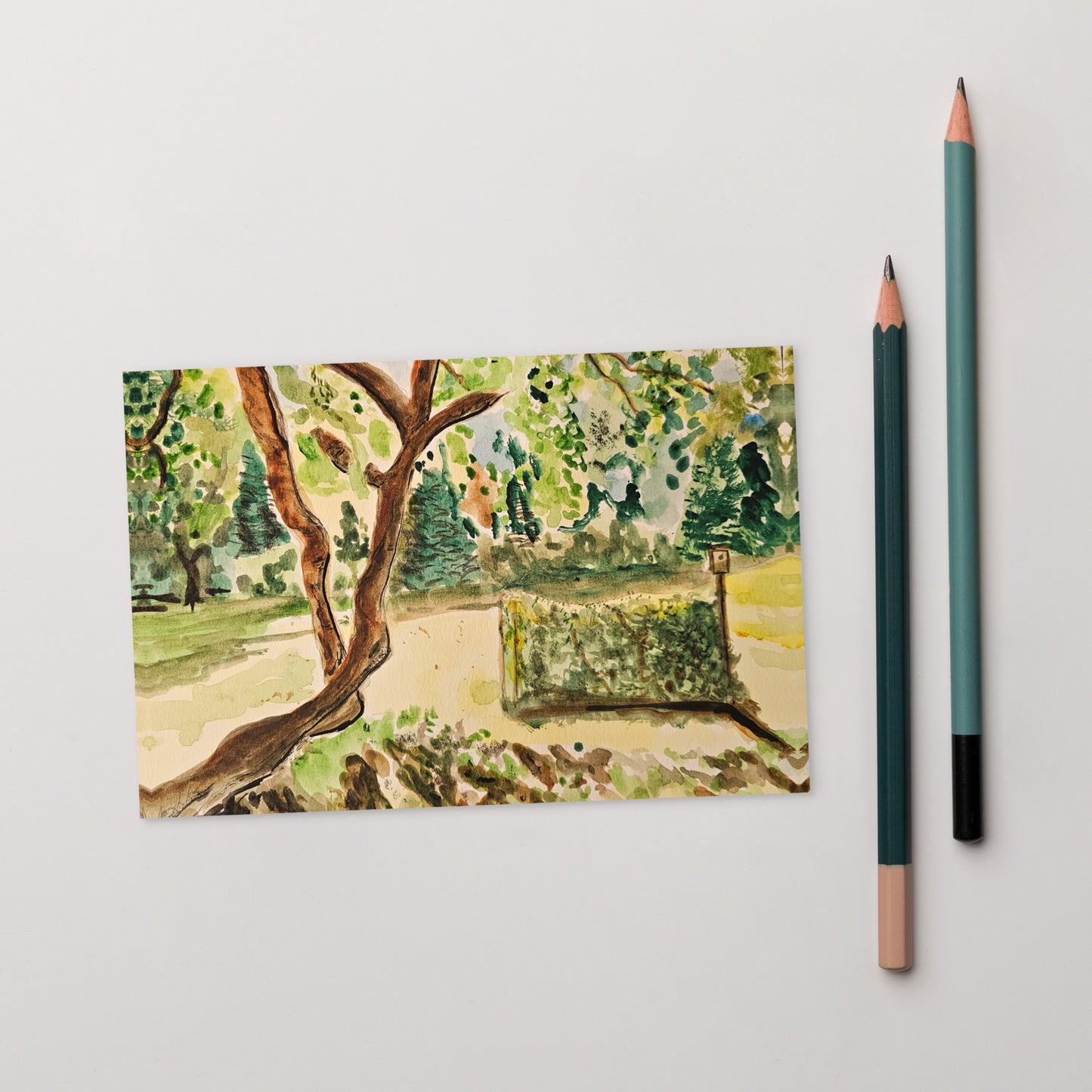 Apples and Grapes Postcard Print