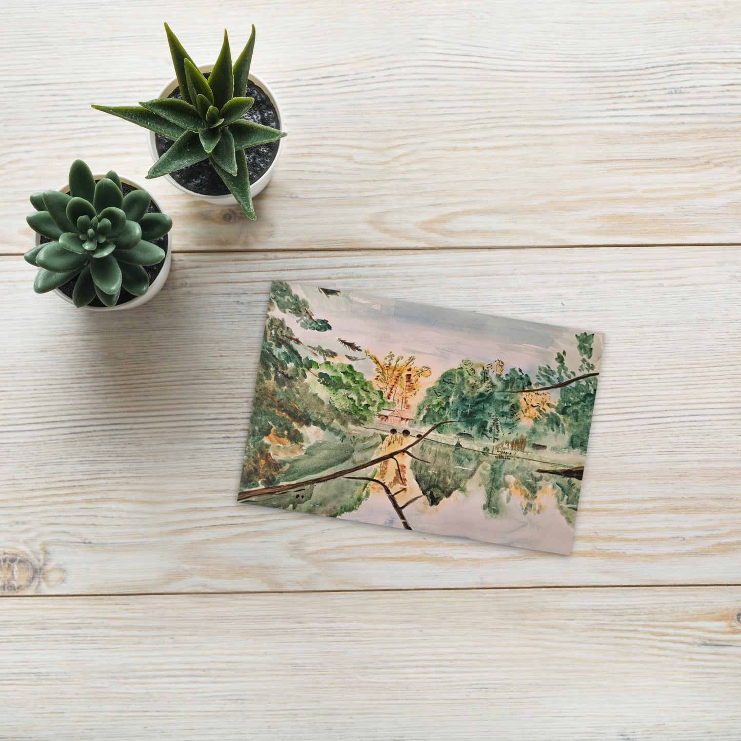 Crystal River Reflections Postcard Print