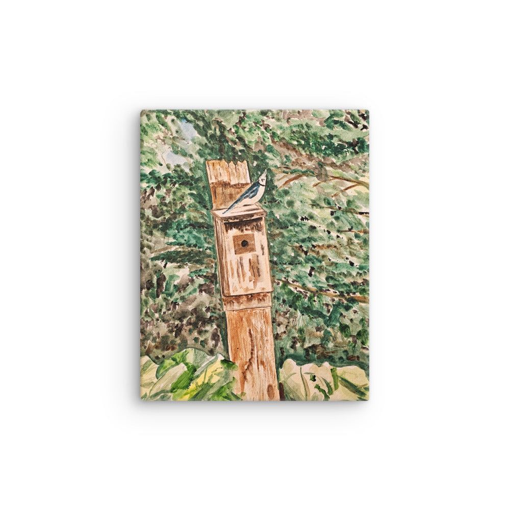 "Mr Jay at the Cottage" Low Profile Gallery Wrapped Canvas - Choose Your Size