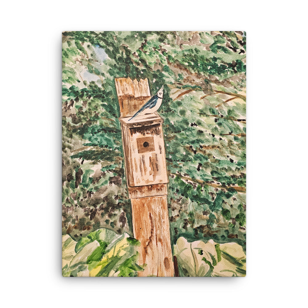 "Mr Jay at the Cottage" Low Profile Gallery Wrapped Canvas - Choose Your Size