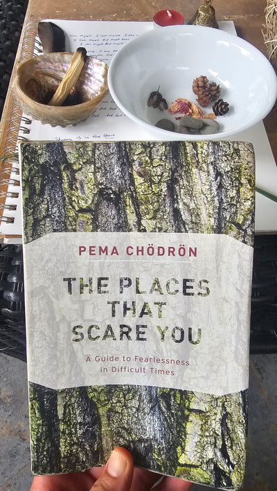 The book that came back into my hands this cycle: Pema Chödrön's The Places That Scare You.