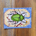 Beetle