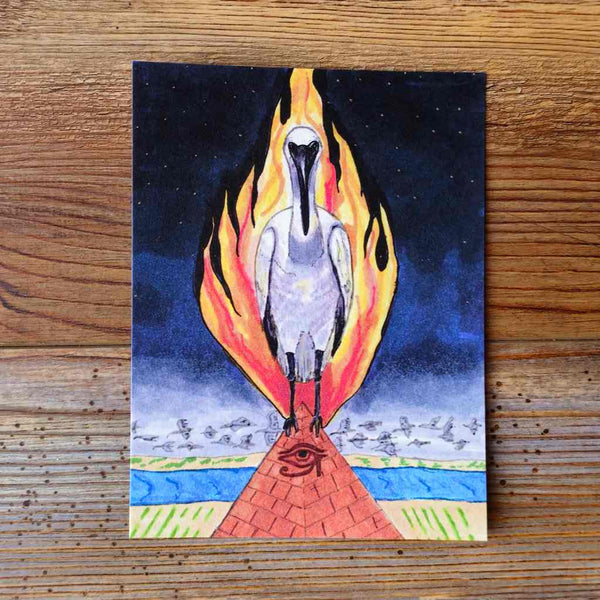 Ibis