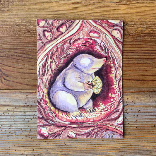 The Mole Handpainted Animal Alchemy Print By Jezzatron