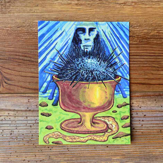 The Sea Urchin Handpainted Animal Alchemy Print By Jezzatron