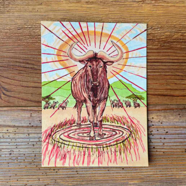 Wildebeest