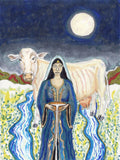 Cow