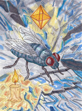 Fly