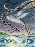 Flying Fish