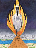 Ibis