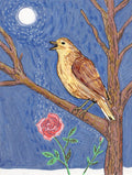 Nightingale