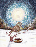 Nightjar