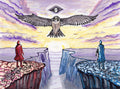 Peregrine Falcon