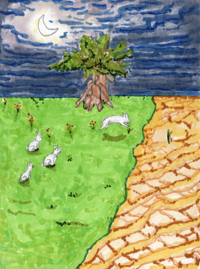 Rabbit