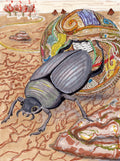 Scarab