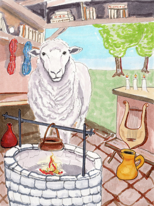 Sheep