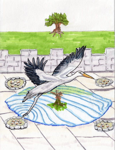Stork