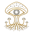 Fungus